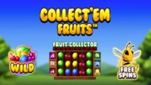 Collect Em Fruits by SYNOT Games