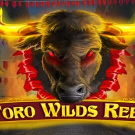 Toro Wilds Reel by SYNOT Games
